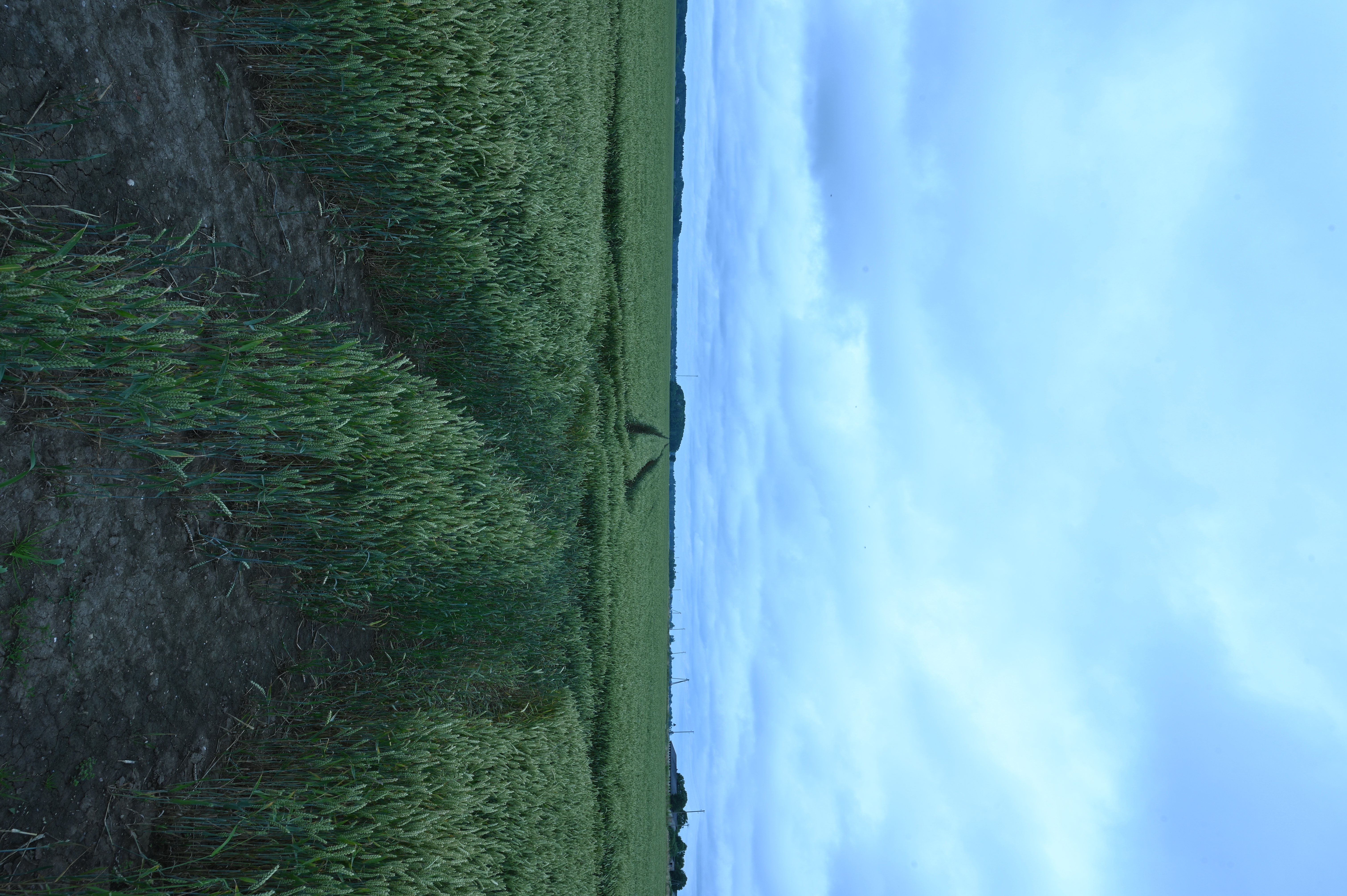 2025/07/09-14 - trip/DSC_0001.JPG